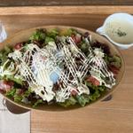 野菜たっぷりのヘルシータコライス