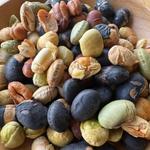 ななつのしあわせミックス煎り豆(タマチャンショップ 都城本店)