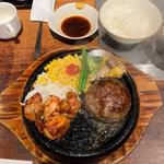 播州百日鶏のタンドリーチキンとハンバーグ