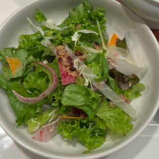 季節の新鮮サラダ