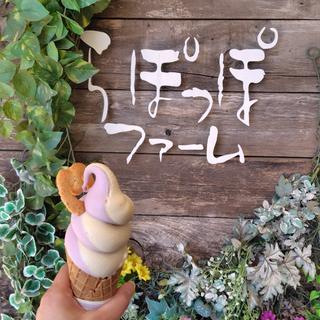 おいもソフトクリーム(さくらカフェ らぽっぽ)