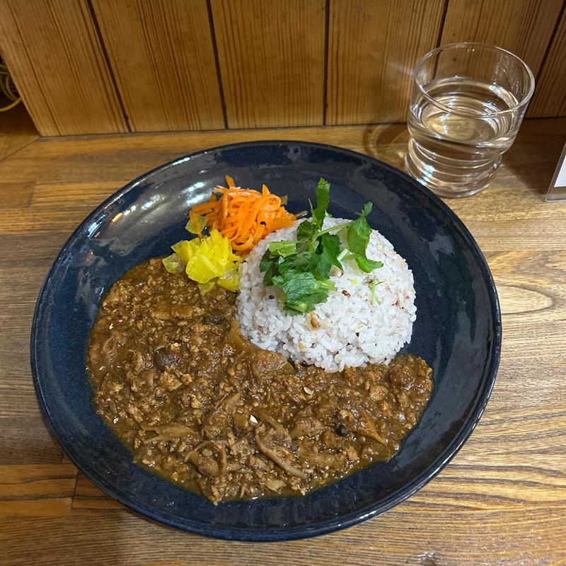薬膳きのこキーマカレー(あきなのカレー)