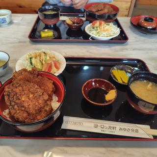 (ヨーロッパ軒 みゆき分店 )