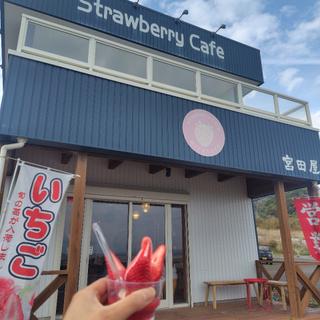 いちごソフト(ストロベリーカフェ宮田屋)