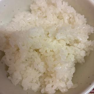 ライス(一条まるふじ)