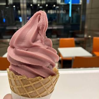 フルーツソフトクリーム グレープ(千疋屋総本店 KITTE丸の内店)