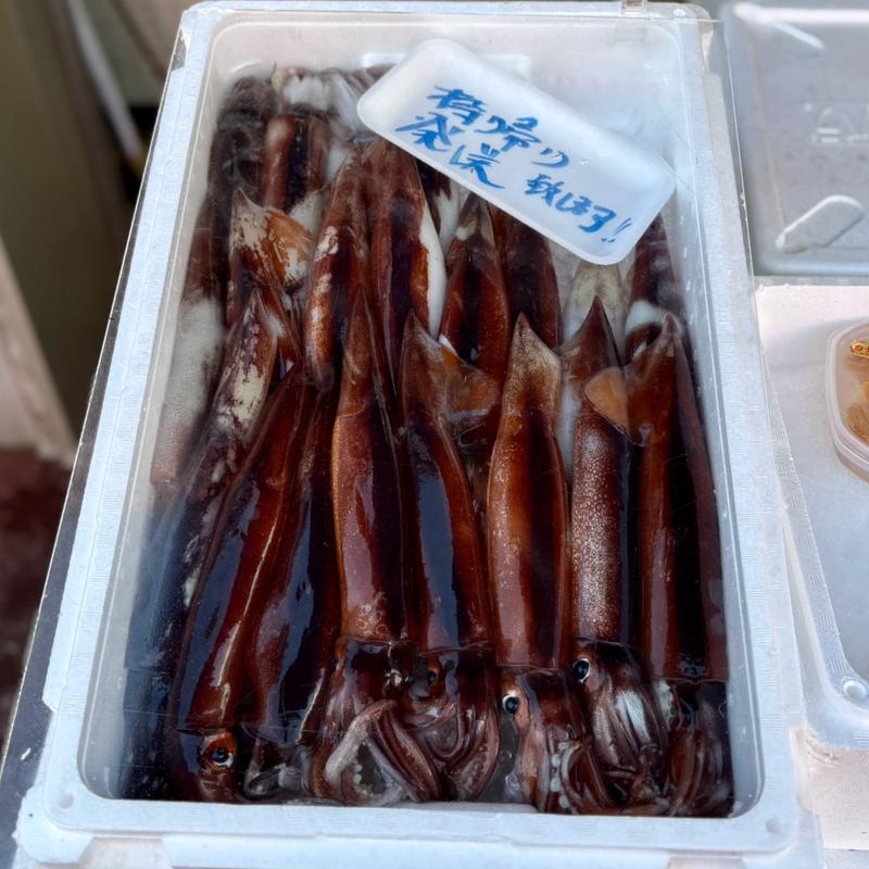 生スルメイカ/5ハイ(ヤマノ中村商店)