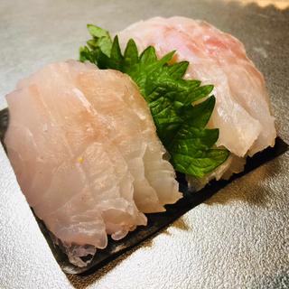 スジアラとアカハタ（熟成15日目）(熟成魚専門 時季 鹿児島市)