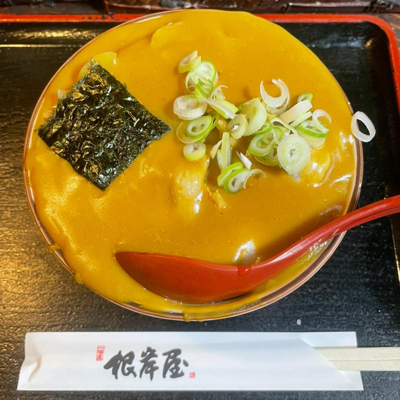 カレーうどん 並(根岸屋 )