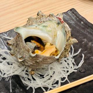 (貝・海苔巻き 野毛しらはら)