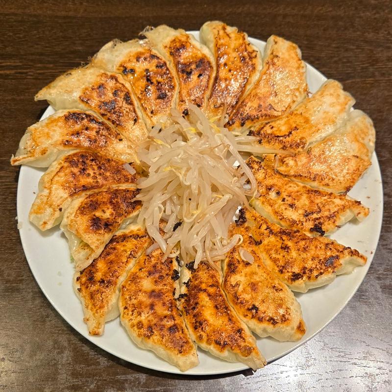 餃子 大(16個)(むつぎく )