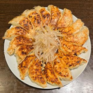 餃子 大(16個)(むつぎく )