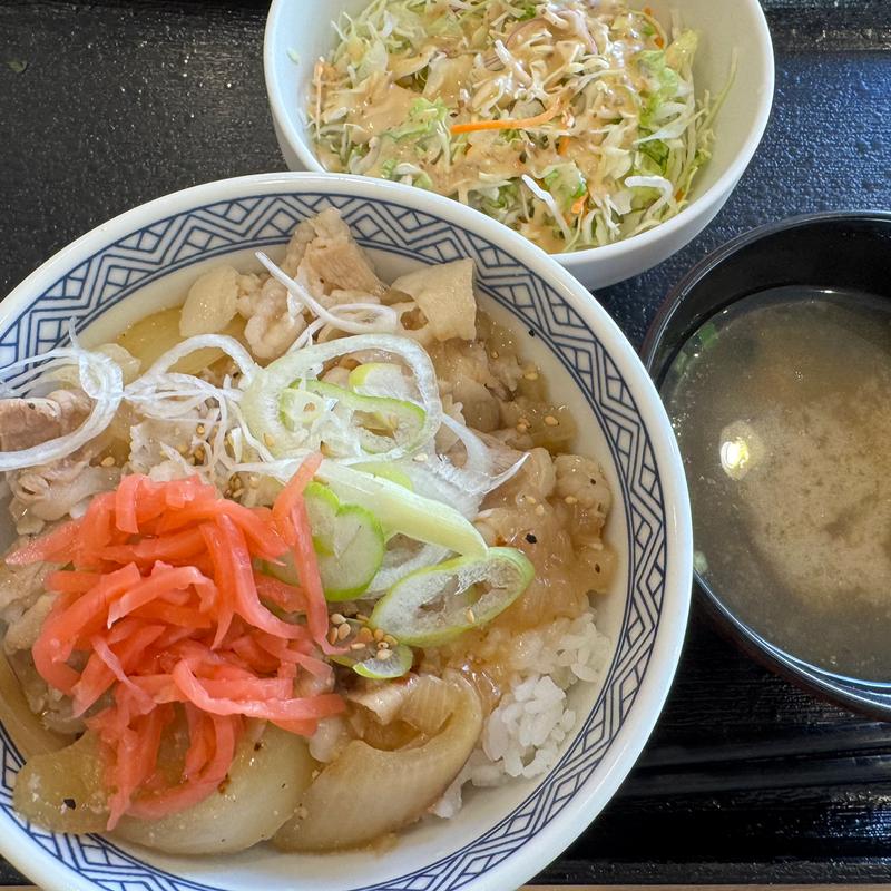 ねぎ塩豚丼(吉野家 １０号線都城店 )