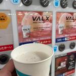 VALX WHEY PROTEIN FRESH PEACH FLAVOR