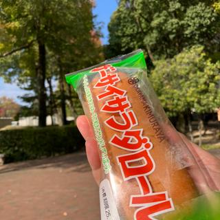 ザーサイサラダロール