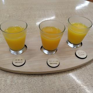 みかんジュース三種飲み比べ