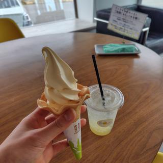 紀伊のじゃばらスカッシュ