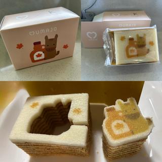 UMAJOカタヌキバウム(メープル)(福島競馬場)