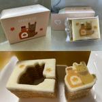 UMAJOカタヌキバウム(メープル)