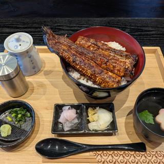 うな丼 特上(うな美)