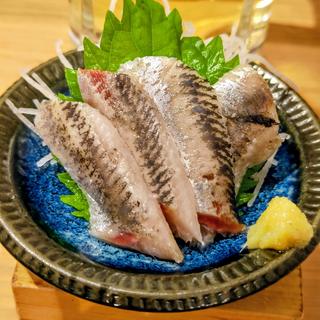 真いわし(貝 刺身専門店 しらはら 関内)