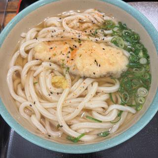 鮭天ぷらうどん