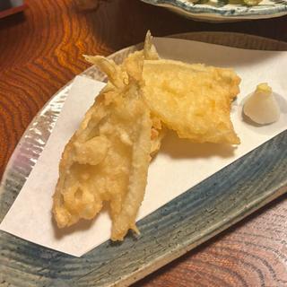 キスの天ぷら(お食事処華 )