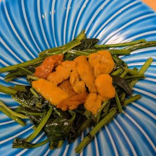 ウニホーレン(広起 )