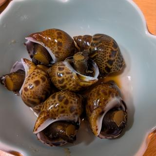 バイ貝煮(広起 )