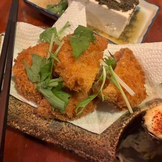 厚切りハムカツ(ライブ＆酒ネガポジ)