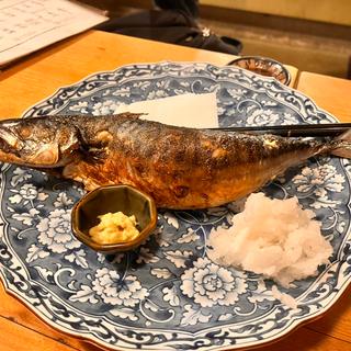 鯖塩焼き(燗アガリ)