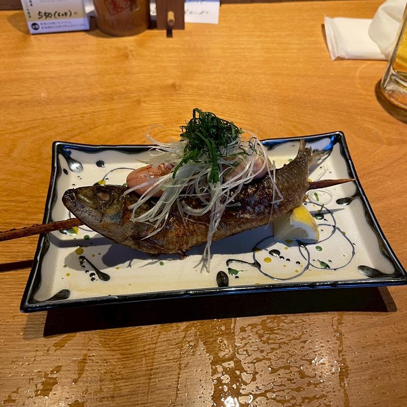 トロイワシ(むさし坐)