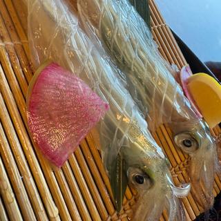 いかの活きづくり