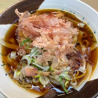 かき揚げきしめん(名代きしめん 住よし JR名古屋駅3・4番ホーム店 (すみよし))