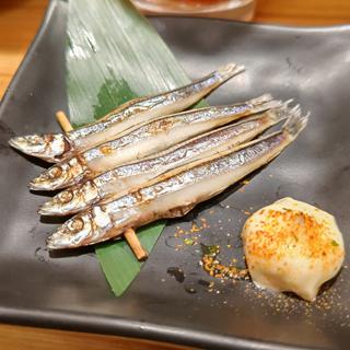 きびなご炙り焼き(江戸前横丁 横浜ポルタ店)