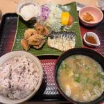 鯖の炭火焼きと鶏の竜田揚げ