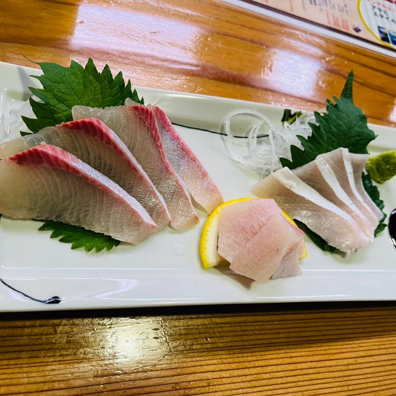 ヒラマサ(一竜 )