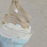 カップ小サイズ