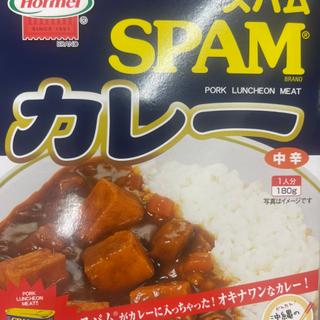 スパムカレー