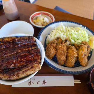 牡蠣フライ(うなぎ処かゞ井 )