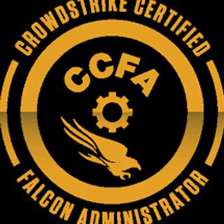 豚かつカレー かつ3倍 ライス大盛り