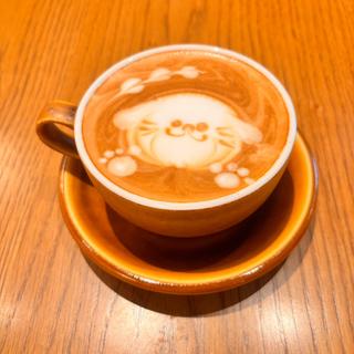 カフェモカ(モニ(MONI))
