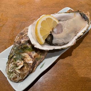 生牡蠣(はる季)
