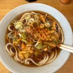かき揚げうどん(戸隠 （トガクシ）)