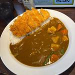 手仕込みロースカツカレー(CoCo壱番屋 京王八幡山駅前店)