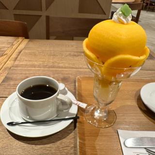 柿畑 コーヒー(伊藤軒/SOU・SOU清水店)