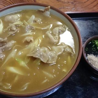 カレー南蛮そば