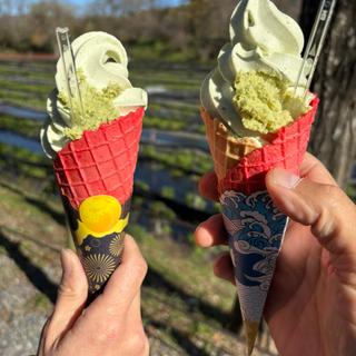 大王プレミアムソフトクリーム(わさび付き)(大王わさび農場 テイクアウトコーナー )