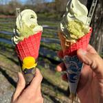 大王プレミアムソフトクリーム(わさび付き)(大王わさび農場 テイクアウトコーナー )