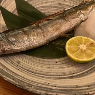秋刀魚(和食と酒おうよう)